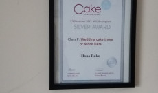 Silver award