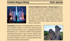 Cikk Budapest rejtett kincseiről