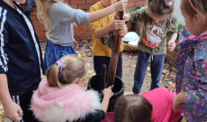 Szóló Szőlő Chesteri Magyar Tanoda - Szüret