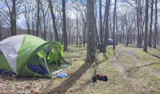 Sátrazás az erdőben