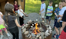 Pillecukor Pillecukor