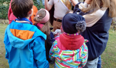 A gyerekek figyelik a programot vezető cserkészt