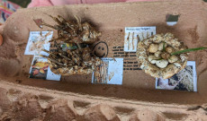 Néhány elkészült alkotás