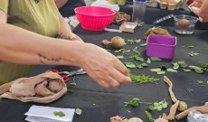 Festésre várva sorakoznak a berzselendő tojások