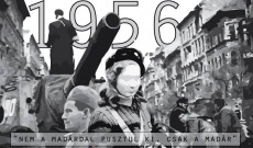 Ausztriai Magyar Pedagógusok Egyesülete Ausztriai Magyar Pedagógusok Egyesülete