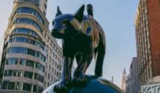 El Gato