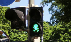 Pumukli a jelzőlámpákon integet