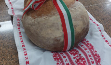 Új kenyér 