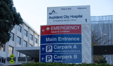 Auckland Hospital