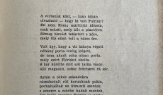 Kulcsár Balázs: Flórián (São Paulo, Brazília, 1959.)
