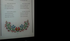 Saját verssel kedveskedtem a közönségnek, melyet a honvágy ihletett Sao paulóban