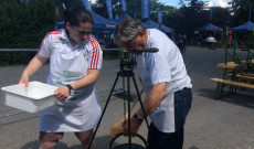 Miklós Tünde és Radda István