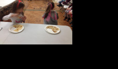 Tanoda, Chester, Hungarikumok