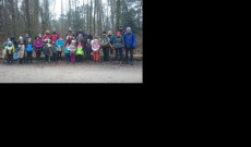 Gyülekező az erdőszélen