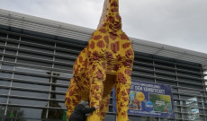 Fotó a Legó zsiráffal