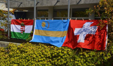 Magyar-székely-svájci összefogás