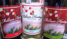 Róna és Drága - Takács Tímea képe