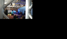 Enyedi-Salamon Quartet