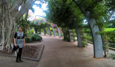 Brisbane-i városnézés