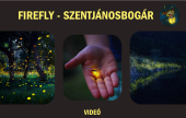 Prezentáció 2 (részlet) Prezentáció 2 (részlet)