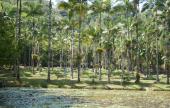 Jaraguá do Sul Jaraguá do Sul