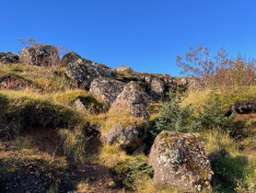 Természet, Reykjanesbær