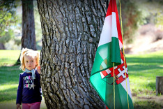 Kiscserkész és a magyar zászló