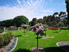 Springvale Botanical Cemetery