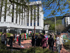 Wellington - Magyar Millennium Park 