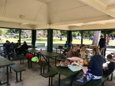 Piknik