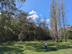 Melbourne, Healsville, Tánc, Néptánc, Fonó Tánccsoport, Magyarpalatkai, népzene, természet