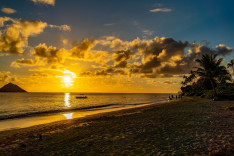 Napfelkete Hawaiion
