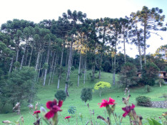 tajkep