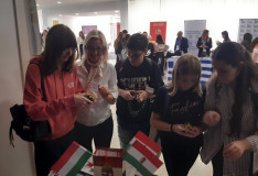 A Rubik-kocka töretlen sikere évről évre számunkra mindig nagy öröm