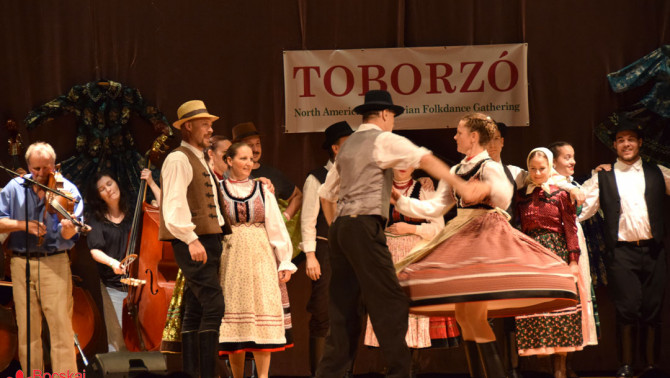 dsc_7157.jpg dsc_7157.jpg