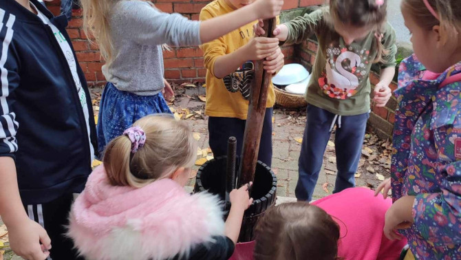 Szóló Szőlő Magyar Tanoda - Szüret