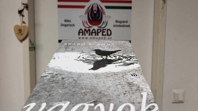 Zene és költészet:  Rendhagyó irodalomóra Szabó T. Annával és Sinha Róberttel az Amapedben