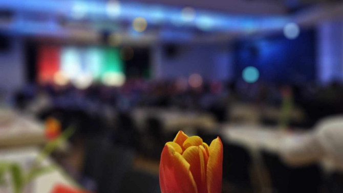 Piros-fehér-zöldben