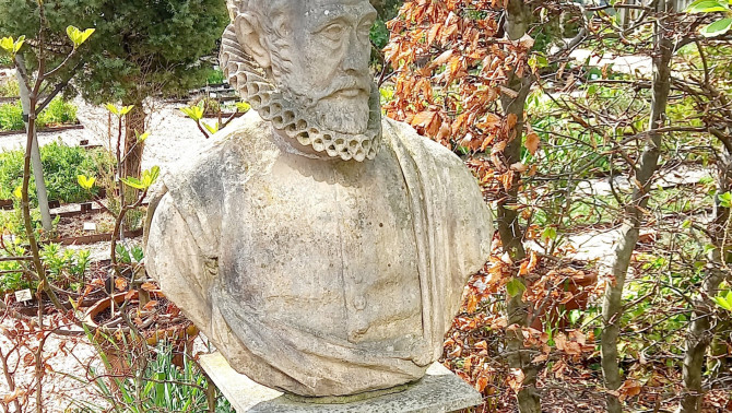 Clusius szobra a leideni botanikuskertben