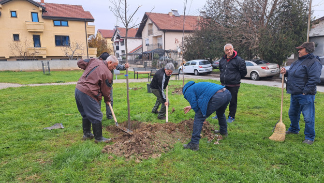 A Teleház tagjai fákat ültetnek