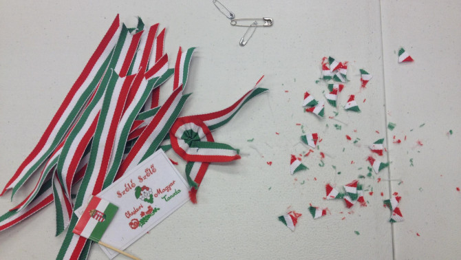 Chester, Tanoda, március 15., kokárda Chester, Tanoda, március 15., kokárda