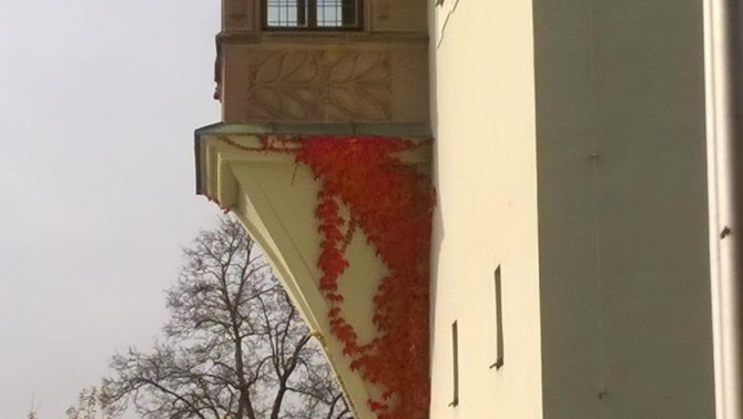 Kastl 