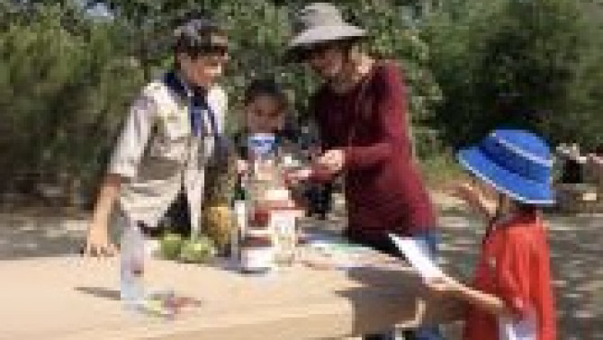 Táplálékpiramis Táplálékpiramis